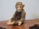 Peluche 139_singe Vert-brun - Steiff Animals