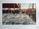 UK Lincolnshire The Pontoons Grimsby  Fish Fisherman Old Postcard - Other & Unclassified