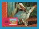 Australien 2002  Mi.Nr. 2139 , Bilby - Maximum Card - First Day Of Issue 4 June 2002 - Maximumkarten (MC)