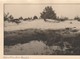 Kalmthout ,Calmpthout ,  Kalmthoutse , Duinen , (groot Format ) - Kalmthout