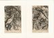 Delcampe - 12 Gravures Sur Bois Extraites De La Vie Des Animaux De A.E. BREHM 1878 Les OISEAUX. Format Du Support 21/29,7cm. Lot 1 - Prints & Engravings