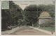 75 - TOUT PARIS 14 - #433 - Parc Montsouris - Une Allée Près De La Porte D'Arcueil +++ Coll. F. FLEURY +++ 1905 - Arrondissement: 14