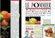 Pomme Poire Le Pommier (Automne 1990) Revue De La Fruit Union Suisse Et De La Régie Fédérale Des Alcools, Berne (16 P.) - Gastronomie