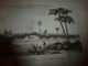 Delcampe - 1935 FRANCE PITTORESQUE (Sénégal Et Gorée) -Caractère-Coutumes-Langage-Histoire-Villes-Industrie-Bourgs-Escales,etc - Autres & Non Classés