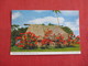 > Fiji Poinsettia &  Bure Sigatoka   Ref 2858 - Fidji