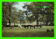 CHEVAUX - HORSES - NEW FOREST, HAMPSHIRE - J. ARTHUR DIXON No 796 - TRAVEL IN 1968 - - Chevaux