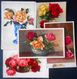 Cp Lot 5x LITHO  ILLUSTRATEUR Divers Berg ROSES ROSE DANS VASE ART NOUVEAU  Deco - Verzamelingen & Kavels