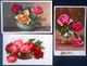 Cp Lot 5x LITHO  ILLUSTRATEUR Divers Berg ROSES ROSE DANS VASE ART NOUVEAU  Deco - Colecciones Y Lotes