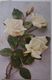 Delcampe - Cpa Lot 7x Litho Illustrateur Divers  BOUQUET Theme Rose Blanche Dont 1 X Double Voeux Mariage Voir PHOTOS - Verzamelingen & Kavels