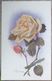 Delcampe - Cpa Lot 7x Litho Illustrateur Divers  BOUQUET Theme Rose Blanche Dont 1 X Double Voeux Mariage Voir PHOTOS - Collezioni E Lotti