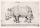 CPM  Représentant  Un " RHINOCEROS "  ALBERT DÜRER - Rhinocéros