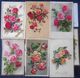 Cpa Lot 11x Litho Illustrateur Degami Jounok  BRC Meissner FLEUR Theme Rose Bouquet Roses Gerbe - Collections & Lots