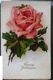 Delcampe - CPA Lot 8x Litho  Illustrateur  EDITION L.P.  A.O.L.  K.F.  B.R.C.  KLEIN . K.G.L. Roses FLEUR ROSE Seule - Verzamelingen & Kavels