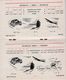 METROPOLE BRUXELLES  -  Indicateur Horaires Et Tarifs - Other & Unclassified