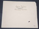 TURQUIE - Enveloppe De Istambul Pour L 'Allemagne En 1941 Avec Contrôle Postal - L 14332 - Lettres & Documents