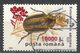 Romania 2000. Scott #4375 (U) Insect, Entomoscelis Adonidis - Oblitérés