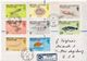 Postal History Cover: British Antarctic Territory Marine Life Stamps On 2 R Covers - Vie Marine