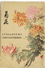 China Rare1950. Flowers Chrysanthemum. Beijing. Booklet Set Of 9 Pieces - China