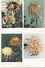 China Rare1950. Flowers Chrysanthemum. Beijing. Booklet Set Of 9 Pieces - China