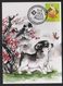 Taiwan (Formosa)- Maximum Card –year Of Dog 2018 - Storia Postale