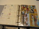 Delcampe - DEUTSCHLAND  -  D D R  Posten  Postkarten  In  HÜLLEN  Im  RINGBINDER - Collections (with Albums)