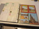 Delcampe - DEUTSCHLAND  -  D D R  Posten  Postkarten  In  HÜLLEN  Im  RINGBINDER - Collections (with Albums)