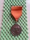 Medaille / Medal - Huwelijk Margriet En Pieter 10-1-1967 ( Vriezenveen ) - Monarchia/ Nobiltà