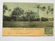 C.P.A. SURINAM : PARAMARIBO : Buiten Societet " Het Park", Stamp - Suriname
