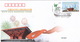 China 2010 Expo 2010 Shanghai Stamps FDC And Commemorative Covers(15 Covers) - 2010 – Shanghai (China)