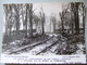 Delcampe - FORET DE COMPIEGNE / TRES JOLI LOT DE 6 CARTES / ARMISTICE 11/11/1918 / MILITARIA - Compiegne