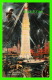 CONEY ISLAND, NY -  LUNA PARK TOWER AT NIGHT -  1906 ILLUSTRATED POST CARD &amp; NOV. CO - - Parks & Gardens