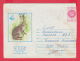 226612 / 1981 - 5 St. ( 8 St. Lion ) Intern. Hunting Exhibition, Plovdiv, ANIMAL Rabbit Lapin Bulgaria Stationery - Enveloppes