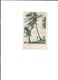 Carte  De     PUERTO  RICO  :    Buscando  Cocos En  Puerto Rico - - Autres & Non Classés