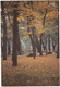 Leningrad: L'Automne Dans Le Jardin D'Eté - Autumn In The Summer Gardens (Jumbo Sized Postcard; 25 Cm X 17 Cm) - Rusland