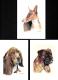 [MD1203] CPM - 3 CARTOLINE - ANIMALI - CANI - FIRMATE BONNE - LEVRIERO BOXER BASST HOUND - Non Viaggiata - Cani