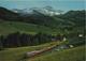 Appenzellerbahn Mit Säntis Chemin De Fer Railway - Photo: Gross - Autres & Non Classés