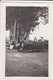 MINI-PHOTO----RARE---VOITURE --( Afrique Noire )---voir 2 Scans - Other & Unclassified