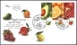 ISRAEL 2009 - Fruits Of Israel - Grapes, Lemon, Avocado, Orange & Pomegranate -  5 Stamps On 2 FDC's - Fruits