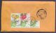 Fruits Flowers, Postal History Cover From TAIWAN, Used 2018 - Covers & Documents