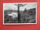 New Zealand  RPPC  Buller River     Ref  2880 - New Zealand