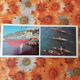 RUSSIA. VLADIVOSTOK . Water Sport  1981  Postcard - Rowing - Aviron