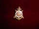 INSIGNE 62 CRD FAB DP - Armée De Terre