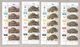 South West Africa 1982 Turtles Stamps MNH Blocks - Africa (Other)