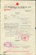 Delcampe - 1942 Guernsey 5 X Red Cross Message Forms. Le Poidevin Family Correspondence - Guernsey