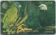 SAINT LUCIA - PARROT AND EAGLE - 11CSLA - Sainte Lucie