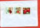 Tunisia 2017. Flora. Envelopes Past The Mail. Registered. - Tunisia