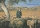 11794-BETHLEHEM-THE SHEPHERD'S FIELD - Palestine