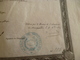 Diplôme Velin Bachelier Enseignement Secondaire Sceau Autographes Montpellier 1892 Senty 44 X 27.5 Environs - Diplômes & Bulletins Scolaires