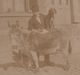 Photographie Sur Papier /Homme Au Chapeau Avec Ane Et Chien /1899  PHOTN329 - Anciennes (Av. 1900)