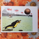 Dachshund - Teckel - Dackel - Bassotto - WAKSA-KLIAKSA By Kanevsky. Old USSR Postcard, 1965 - Football - Hunde